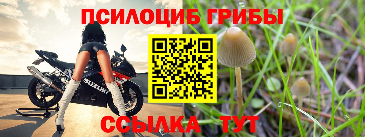 Галлюциногенные грибы мицелий  Галлюциногенные грибы Magic Shrooms  Вход с VPN  Шуя 