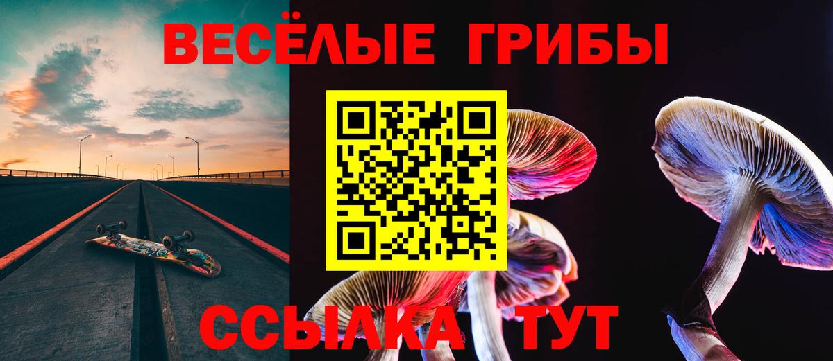 Псилоцибиновые грибы мицелий Шуя